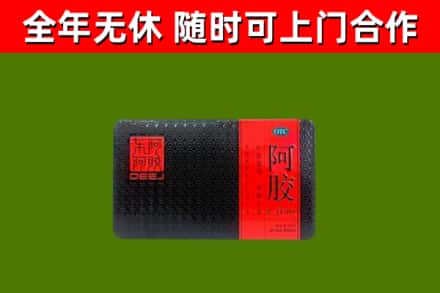 青州市回收阿胶
